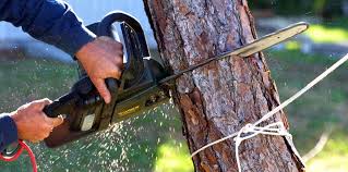 Lawn Maintenance Plans in Panguitch, UT